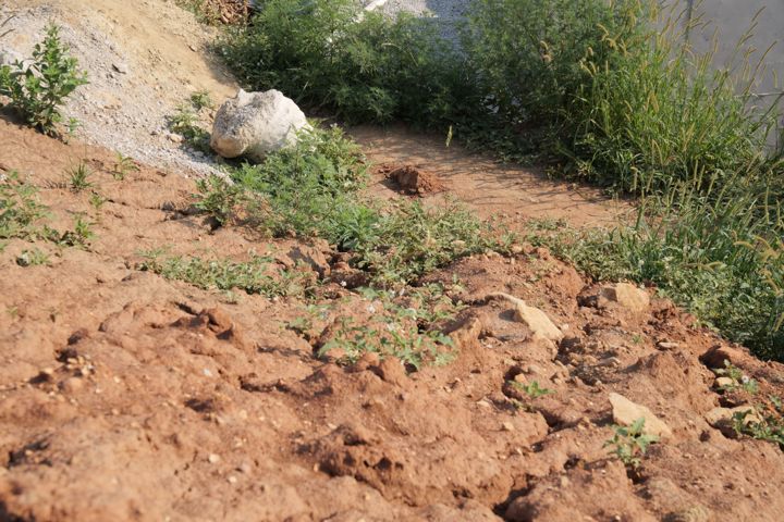 Acreage, slab and forms · P1871151