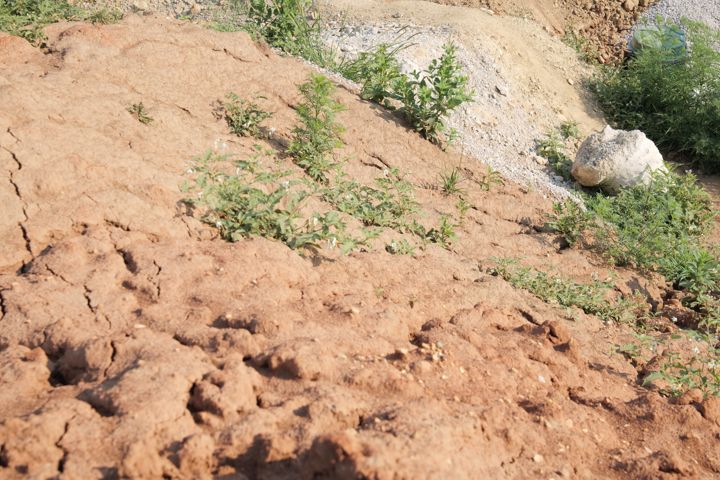 Acreage, slab and forms · P1871183